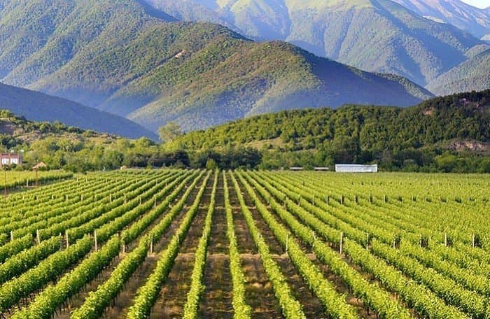 Kakheti - Wine Country